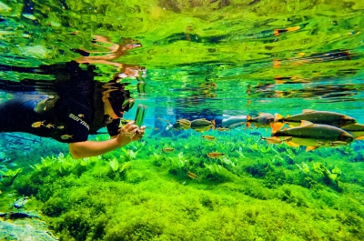 Flutua??o em Bonito MS, Aqu?rio Natural, melhores passeios em Bonito