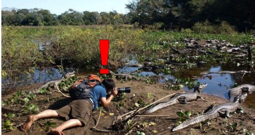 Explorando Bonito e o Pantanal: Dicas de Segurança e Respeito pela Natureza