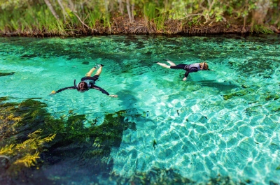 Flutuação nas Nascentes do Rio Sucuri: Descubra a Beleza Natural de Bonito, MS