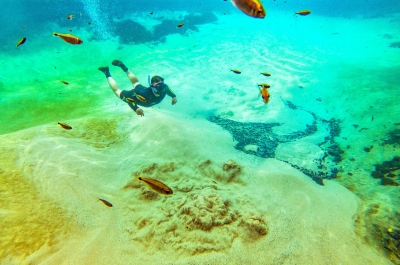 Flutuação no Rio da Prata: Descubra a Magia das Águas Cristalinas em Bonito, MS