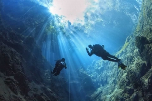 Descubra um mundo submerso incrível 