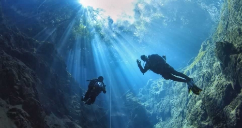 Descubra um mundo submerso incrível 